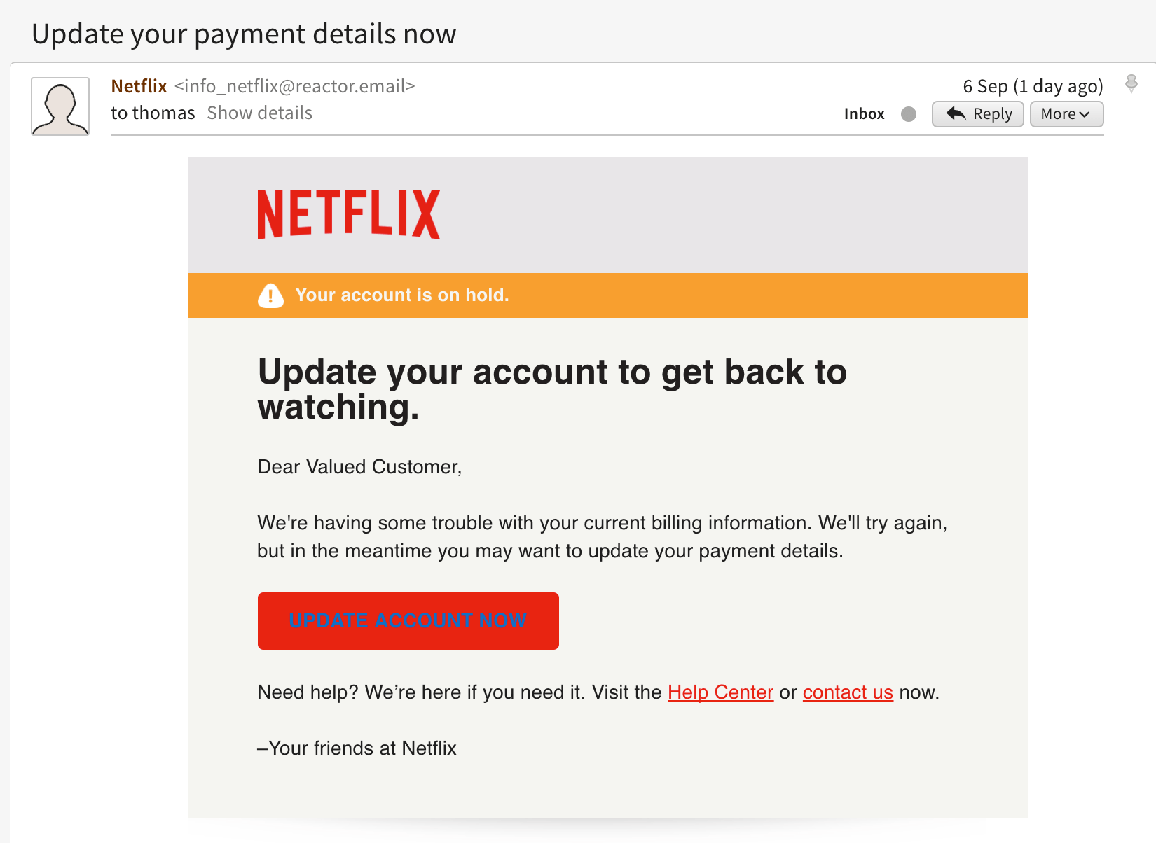 RE: My Netflix Account