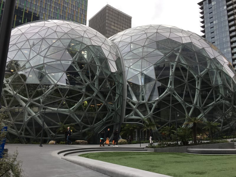 The Amazon Spheres