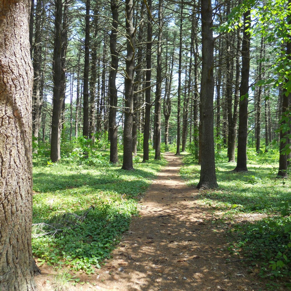 Should I join a running club?