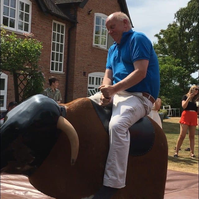 Rodeo bull
