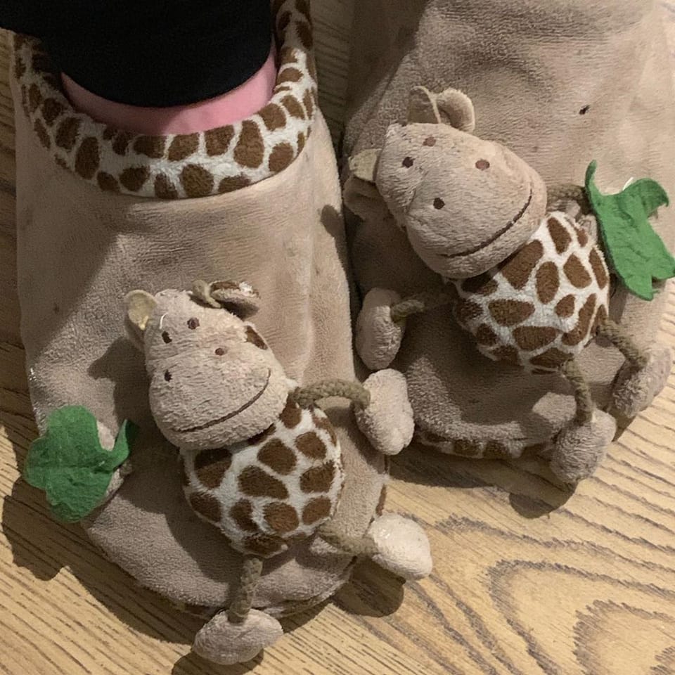What animal is this? Please must know